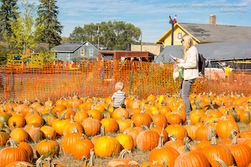 Pumpkin Express